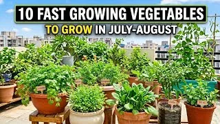 Thumbnail: ​Top 10 Fast Growing Vegetables to Grow in July and August | ​July August Jaldi Ugne Wali 10 Sabziya