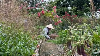 Thumbnail: My daily garden routine: harvesting and cooking two delicious meals.
