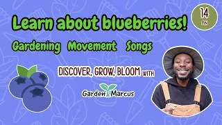 Thumbnail: Learn about blueberries! 🫐 Gardening | Songs | Movement | Creativity | Education | Toddler Learning