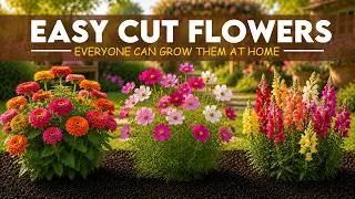 Thumbnail: 20 Easy Cut Flowers Everyone Can Grow At Home