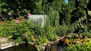 Thumbnail: A Pollinator's Dream Garden Tour!!