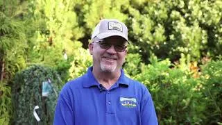 Thumbnail: Best Privacy Screening Plants for North Carolina | Expert Tips for Triangle Yards