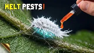 Thumbnail: Just 10 Drops of This Will Save Your Garden