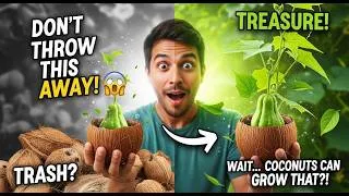 Thumbnail: You’ll Never Throw Away Dried Coconuts Again After Seeing This Amazing Chayote Growing Idea! 🌱