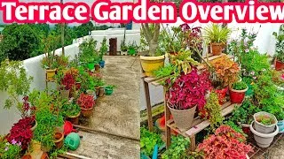 Thumbnail: Terrace garden overview | Terrace garden ideas | June month terrace garden tour 