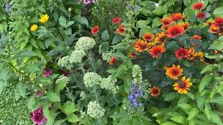 Thumbnail: A Shade Garden Full of Color | August Garden Tour — Part One