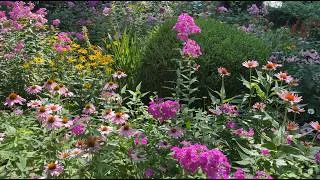 Thumbnail: I Toured a 50 Year Old Garden...and Learned So Much