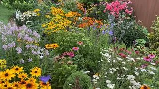 Thumbnail: My Cottage Garden Is at Its Peak! | July Garden Tour (Part 2)