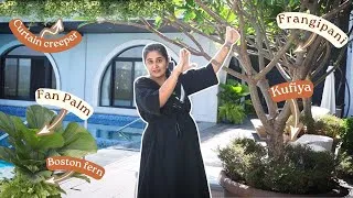 Thumbnail: Choice of Plants for Luxury pool Outdoors: Holiday home project in Alibag 
