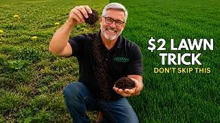 Thumbnail: 90% Weeds? This $2 Secret Can Save Your Lawn (Don't Skip!)