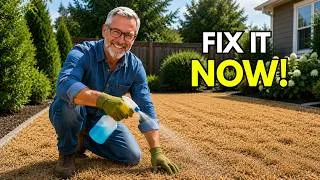 Thumbnail: If Your Lawn Feels Like Straw, Do This Quickly Before It’s Too Late!