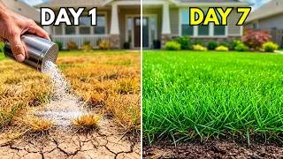 Thumbnail: 7 Days to Save Your Burned Grass: The Ultimate Recovery Guide