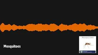 Thumbnail: Mosquitoes | Everything Everywhere Daily: History, Science, Geography & More
