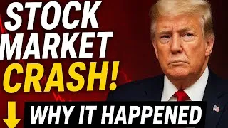 Thumbnail: Why Did the Stock Market Fall After Donald Trump's Statements