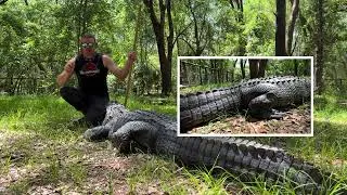Thumbnail: GATOR TAIL ATTACK?