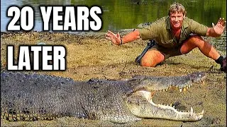 Thumbnail: How Steve Irwin’s Legacy was Unimaginable 