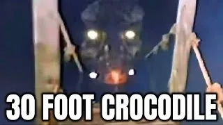 Thumbnail: 30 Foot Crocodile Seen in the Philippines 