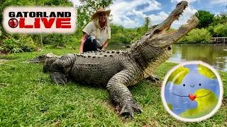 Thumbnail: Gatorland Global & Conservation Florida Team Up for Earth Day!