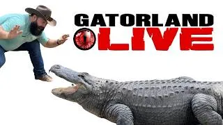 Thumbnail: Let’s Feed Some Alligators Together!