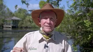 Thumbnail: Gatorland's 2026 Alligator Safety Video!