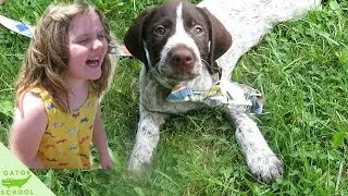 Thumbnail: SURPRISING HER WITH A NEW PUPPY! | 8 week old German Wirehaired Pointer