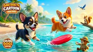 Thumbnail: Cartoon for Dogs to Watch 🐶🎬🧸 | 24 Hours Soft New Puppy TV for First-Time Puppy Parents | Calm Home