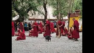 Thumbnail: A Visit to Sera Monastery སེ་ར་དགོན་པ To See The Monk Debate Lhasa, Tibet   June 2025