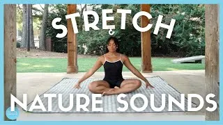 Thumbnail: Stretch + Nature Sounds: Full Body Stretch w/ Relaxing Nature + Summer City ASMR: Cicadas, trains