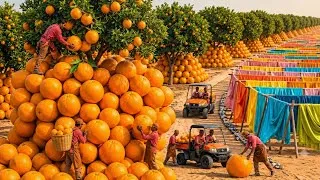 Thumbnail: How Millions of Orange Peels Become Premium Fabric & Soft Scarves | Full Factory Process