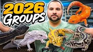 Thumbnail: Leopard Gecko Groups - (2026)