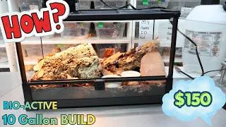 Thumbnail: $150 - 10 Gallon BIO-ACTIVE leopard gecko tank BUILD (2026)