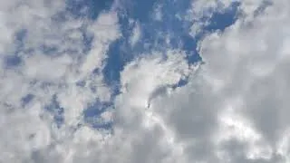 Thumbnail: Zeearend boven Zonnehoek Amsterdam Westerpark