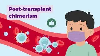 Thumbnail: How Do Doctors Know a Stem Cell Transplant Is Working? | Chimerism Monitoring Explained