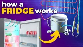 Thumbnail: How does a Refrigerator work? 3D Animation