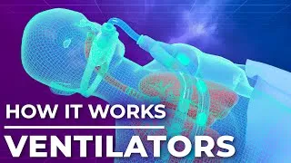 Thumbnail: Saving Lives: The Science Behind Mechanical Ventilation