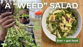 Thumbnail: Your Yard Has a Superfood You're Trashing
