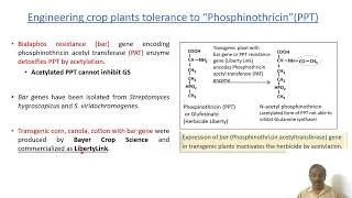 Thumbnail: Lec 26 - ABT 301. Transgenic plants: herbicide, pest and disease resistant, abiotic stress resistant