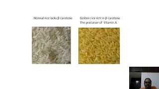 Thumbnail: Lec 27.  Nutrition enhancement and quality improvement through transgenic approach.