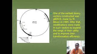 Thumbnail: Lec 24 ABT 301 . Direct and indirect gene transfer methods in plants