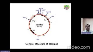 Thumbnail: Lec 22 - ABT 301 Types of Vectors.