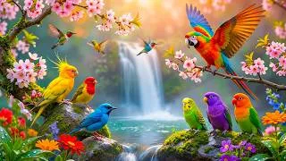 Thumbnail: The Ultimate The World's Most Colorful Birds Experience: Untamed Nature Revealed!