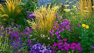 Thumbnail: Soothing sound to calm down and relax - Healing Music for Anxiety Disorders