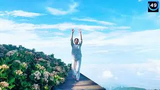 Thumbnail: Full Body Tai Chi for Seniors 60+| Relax, Burn Fat & Improve Balance