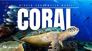 Thumbnail: Coral Reefs A Journey Into the Underwater World  | 4K Ultra HD