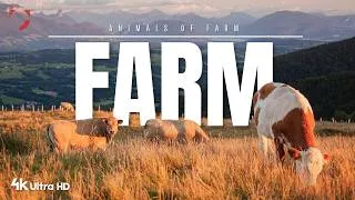 Thumbnail: Farm Animals Relaxing Nature & Country Life Video | 4K Ultra HD
