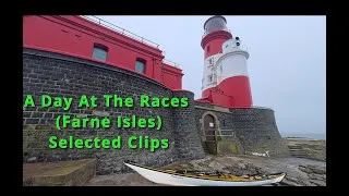 Thumbnail: Day At The Races around The Farne Isles