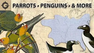Thumbnail: Mapping North America's Extinct Birds (Parrots, Penguins, & More)