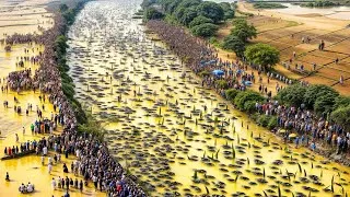 Thumbnail: One in a Billion Moments in Nature (Unbelievable Moments Caught on Camera)