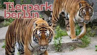 Thumbnail: Tierpark Berlin - Europe's Largest Animal Park