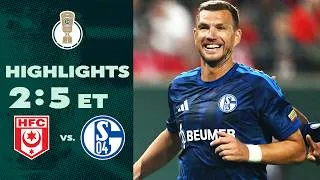 Thumbnail: Schalke settles it late! | Hallescher FC vs FC Schalke 04 2-5 | Highlights | DFB-Pokal first round